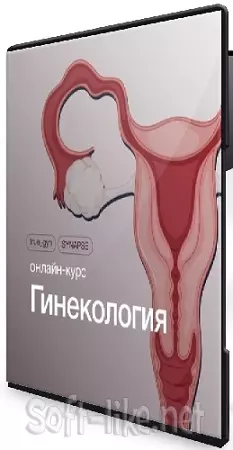 [Synapse] Гинекология (2025) Видеокурс