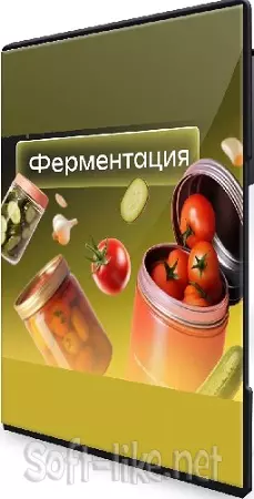 Наталия Обоева - Ферментация (2025) Видеокурс