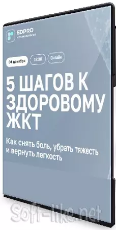 Сергей Вялов - 5 шагов к здоровому ЖКТ (2025) Вебинар