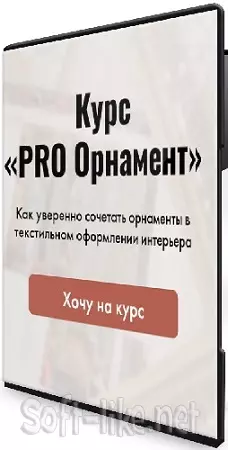 Ирина Шульгина, Татьяна Погребная - PRO Орнамент (2025) Видеокурс