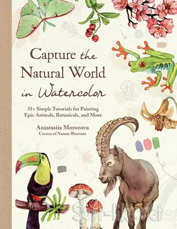 Capture the Natural World in Watercolor
