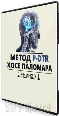 Николай Струков - Метод P-DTR. Семинар 1 (2024) CAMRip