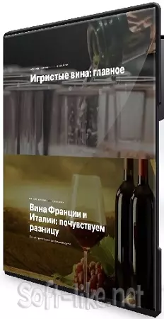 Яна Савельева - Игристые вина + Вина Франции и Италии (2023) PCRec