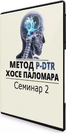 Николай Струков - Метод P-DTR. Семинар 2 (2024) CAMRip