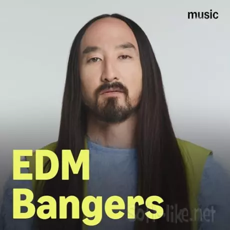 EDM Bangers 24.02.2026 (2026) FLAC