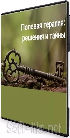 Елена Веселаго - Полевая терапия: решения и тайны (2025) Вебинар