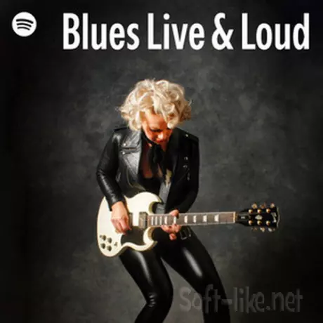 Blues Live and Loud (2026)