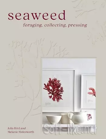 Seaweed: The sustainable guide to our oceans, with crafts, foraging, collecting and pressing