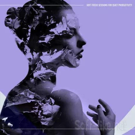 Soft Focus Sessions for Quiet Productivity (2026) FLAC