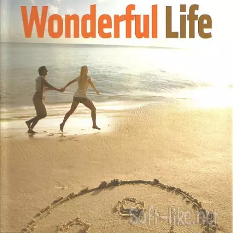 Wonderful Life (4CD) (2011) FLAC