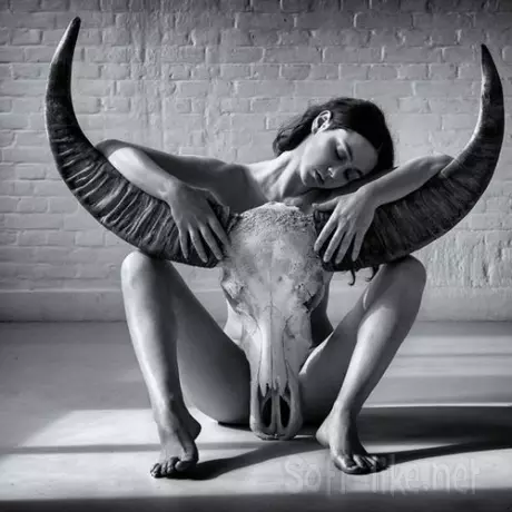 Exotic Dance Songs Vol.428 (2026)