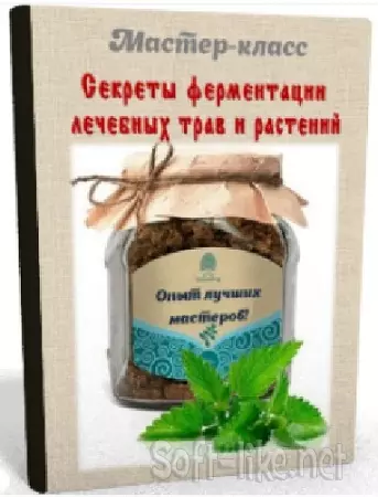 Ирина Бреусова - Секреты ферментации лечебных трав и растений (Видеокурс)