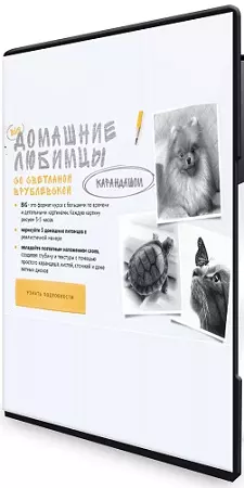 [Sobaka-Risovaka] Домашние любимцы [Тариф Рисую сам] (2026) Видеокурс