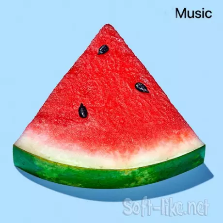 Summer Chill 2026 (2026) FLAC