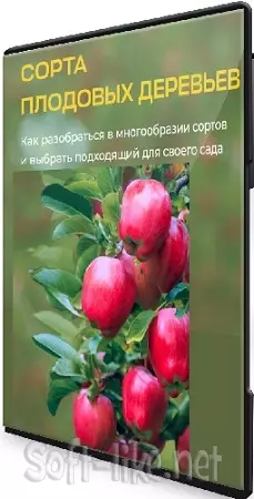 [Умный садовник] Сорта плодовых деревьев (2026) Семинар