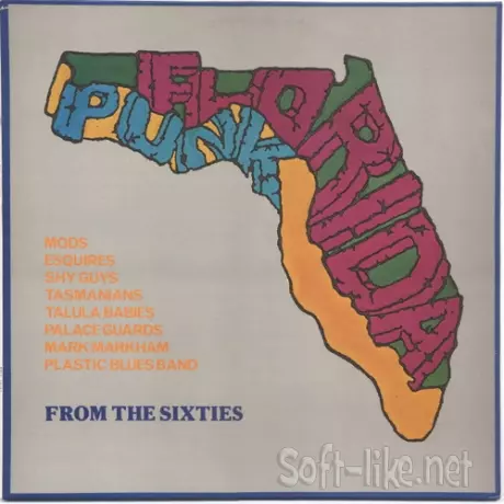 Texas and Florida Punk Groups From The Sixties 3LP (Vinyl Rip) (1982,1983,1985) FLAC