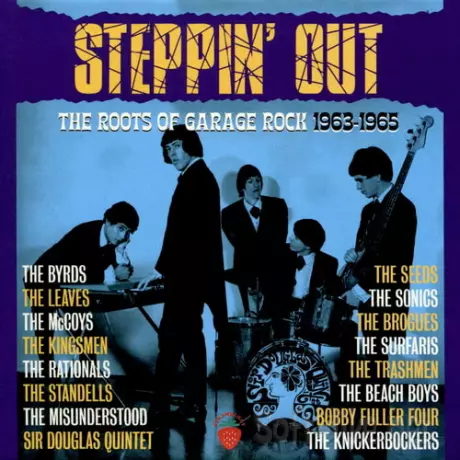 The Roots Of Garage Rock 1963-1965 (3CD) (2026) FLAC