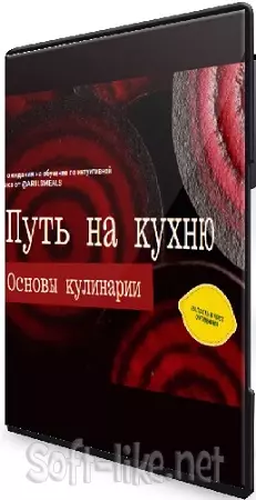 Ариил Давыдов - Путь на кухню. Основы кулинарии. Тариф Medium (2026) Видеокурс