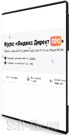 Дарья Дейн - Яндекс Директ ПРО (2026) Видеокурс