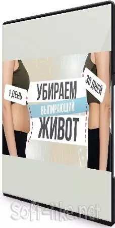 [TutorPlace, Дарья Персикова] Убираем выпирающий живот (2026) Видеокурс