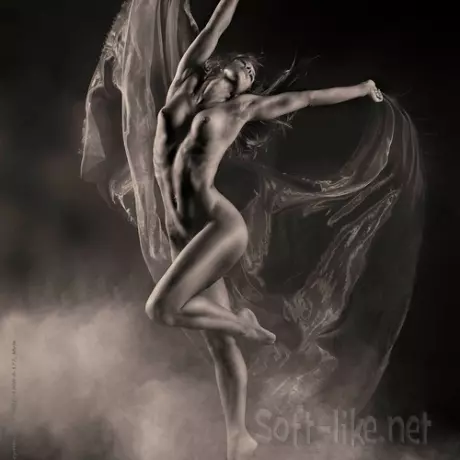 Exotic Dance Songs Vol.436 (2026)